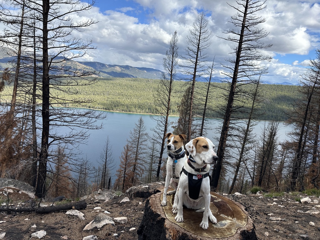Luna and Xirco by the lake